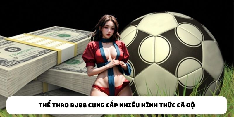 Thể thao BJ88 cung cấp nhiều hình thức cá độ Thể thao BJ88 cung cấp nhiều hình thức cá độ